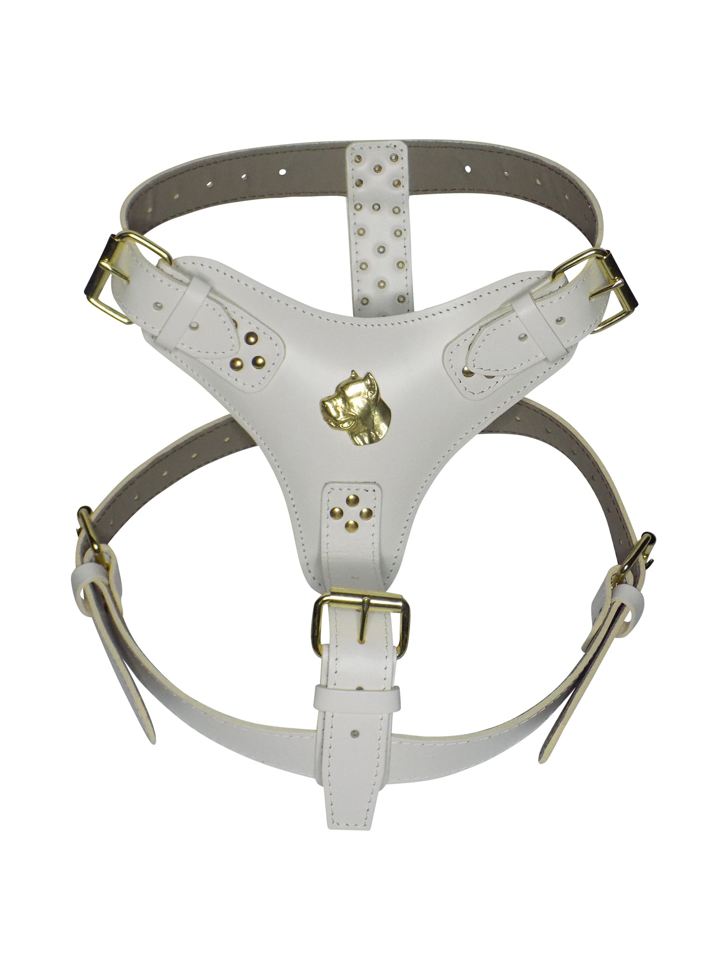 Extra Large Heavy Duty Leather Dog Harness with Gold Cane Corso Head Motif