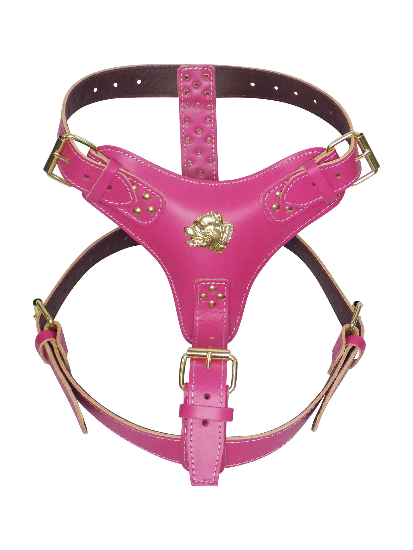 Extra Large Heavy Duty Leather Dog Harness with Gold American Bully Head Motif