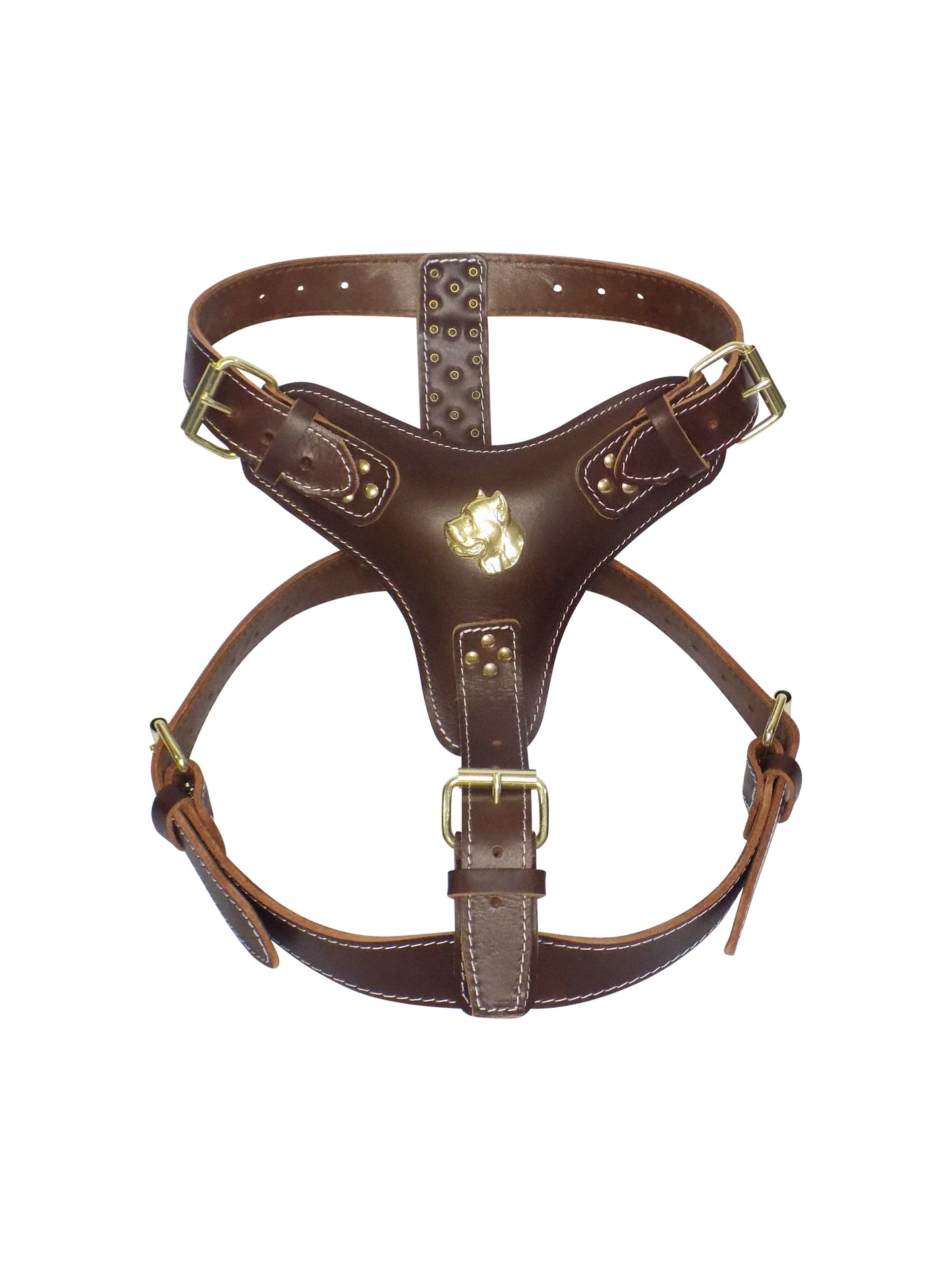 Extra Large Heavy Duty Leather Dog Harness with Gold Cane Corso Head Motif