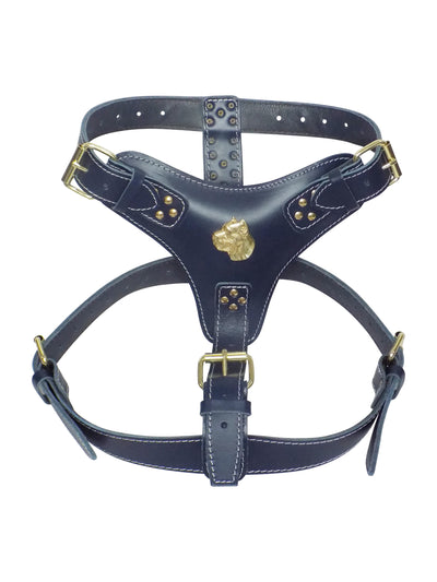 Extra Large Heavy Duty Leather Dog Harness with Gold Cane Corso Head Motif