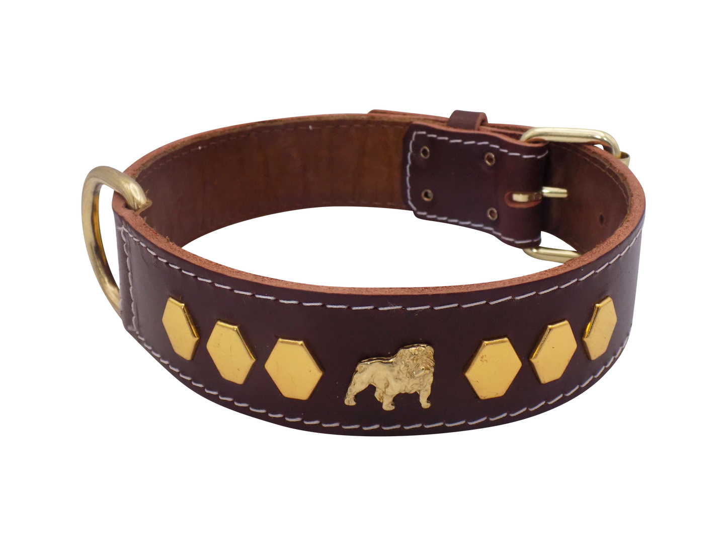 1.5" wide Leather Dog Collar with Unique Gold Design and English Bulldog Badges