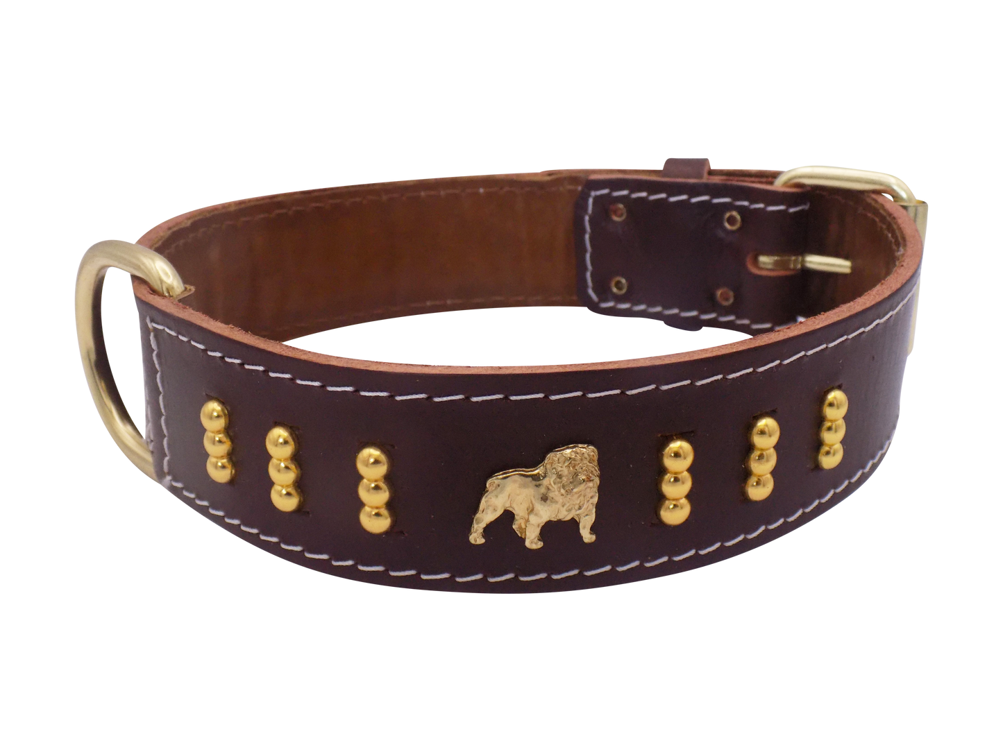 1.5" wide Leather Dog Collar with Unique Gold Design and English Bulldog Badges Style-4