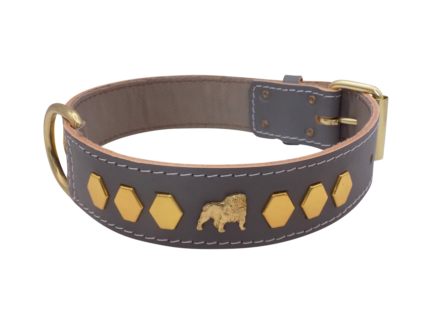 1.5" wide Leather Dog Collar with Unique Gold Design and English Bulldog Badges