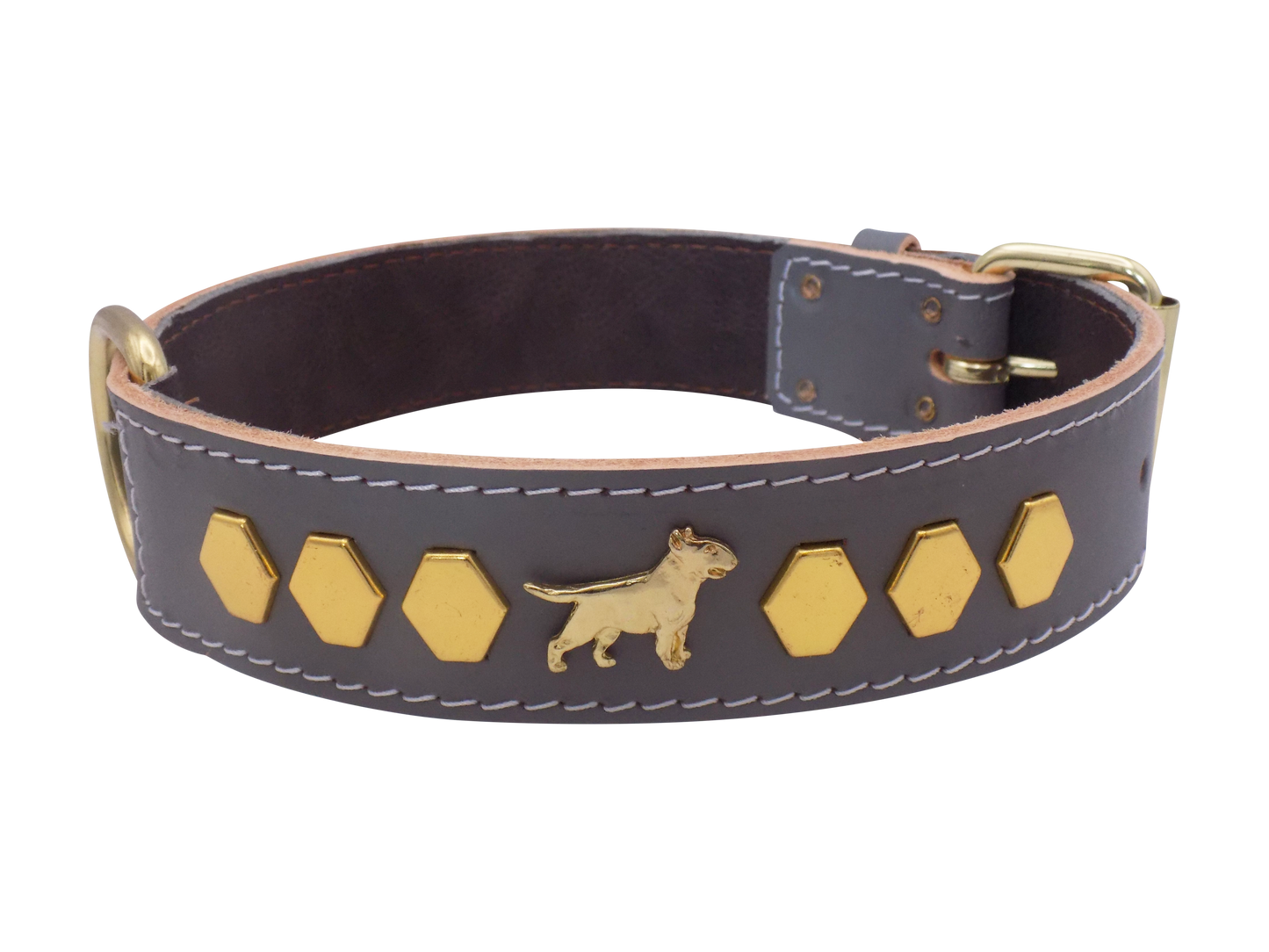 1.5" wide Leather Dog Collar with Decorative Gold Design and English Bull Terrier Badges