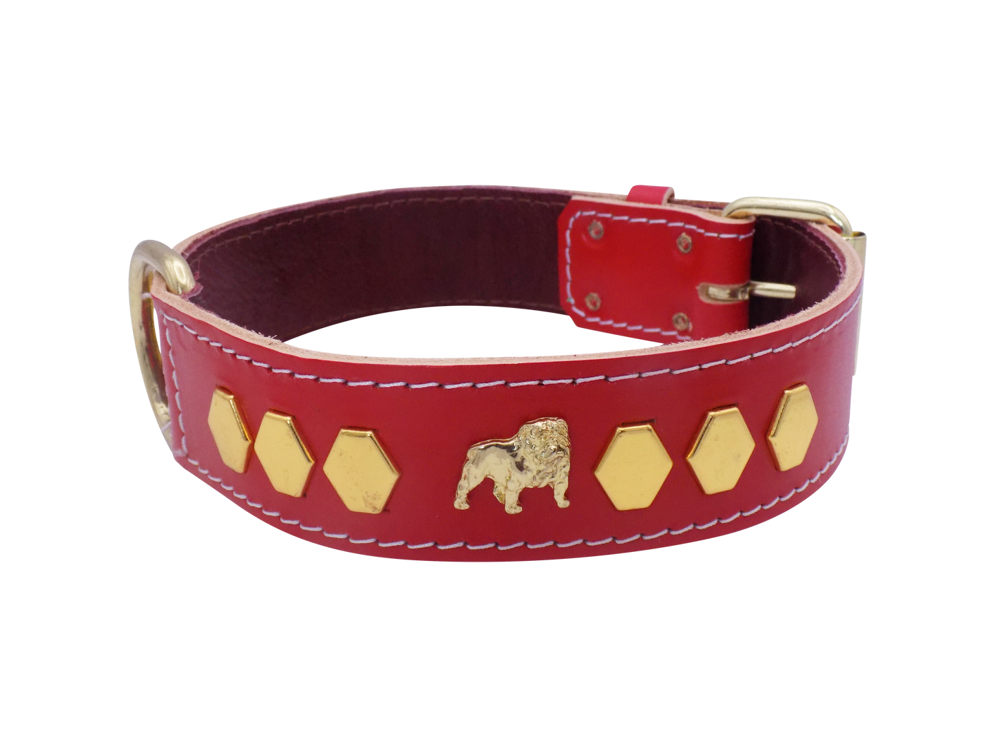 1.5" wide Leather Dog Collar with Unique Gold Design and English Bulldog Badges