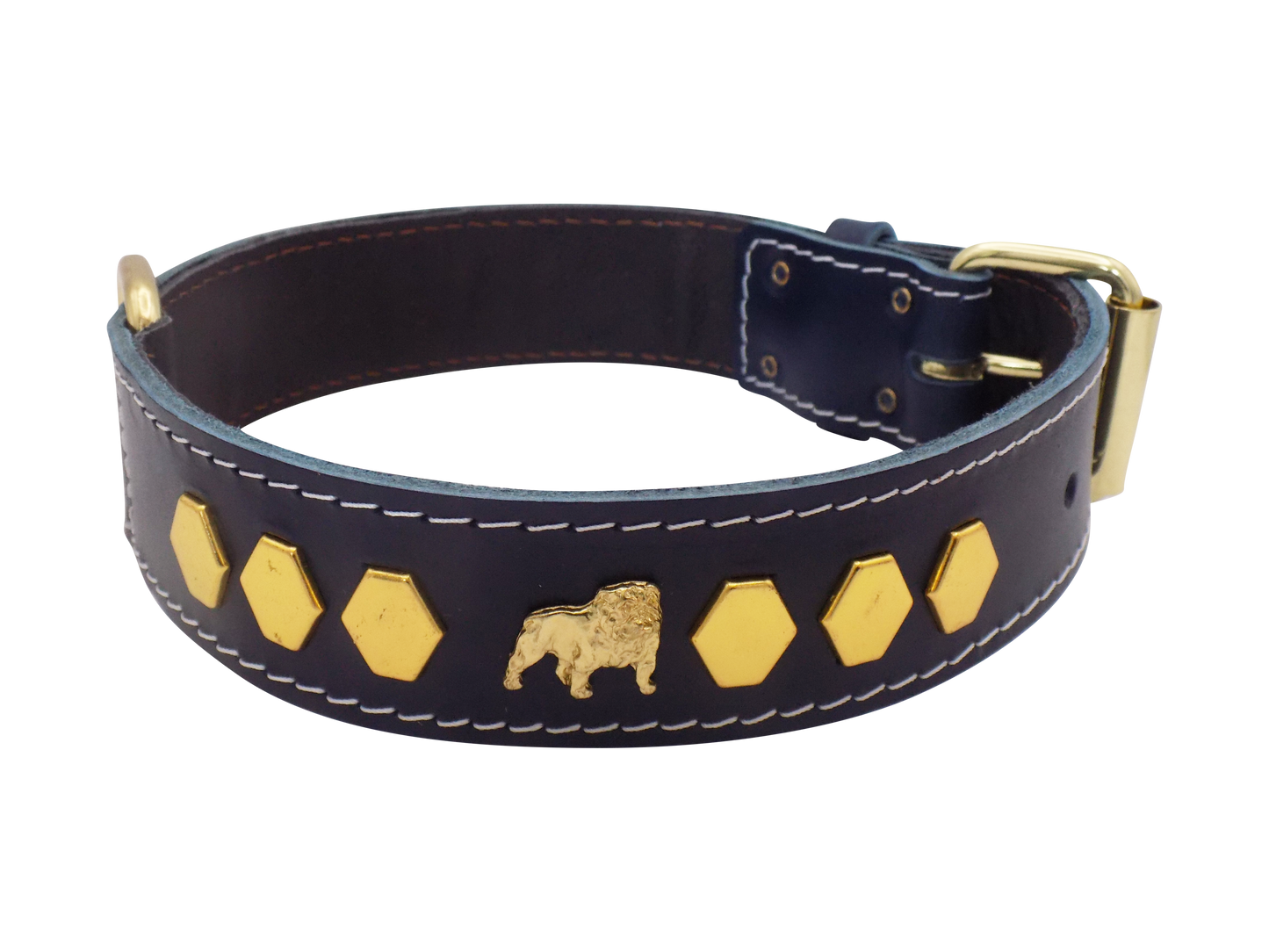 1.5" wide Leather Dog Collar with Unique Gold Design and English Bulldog Badges