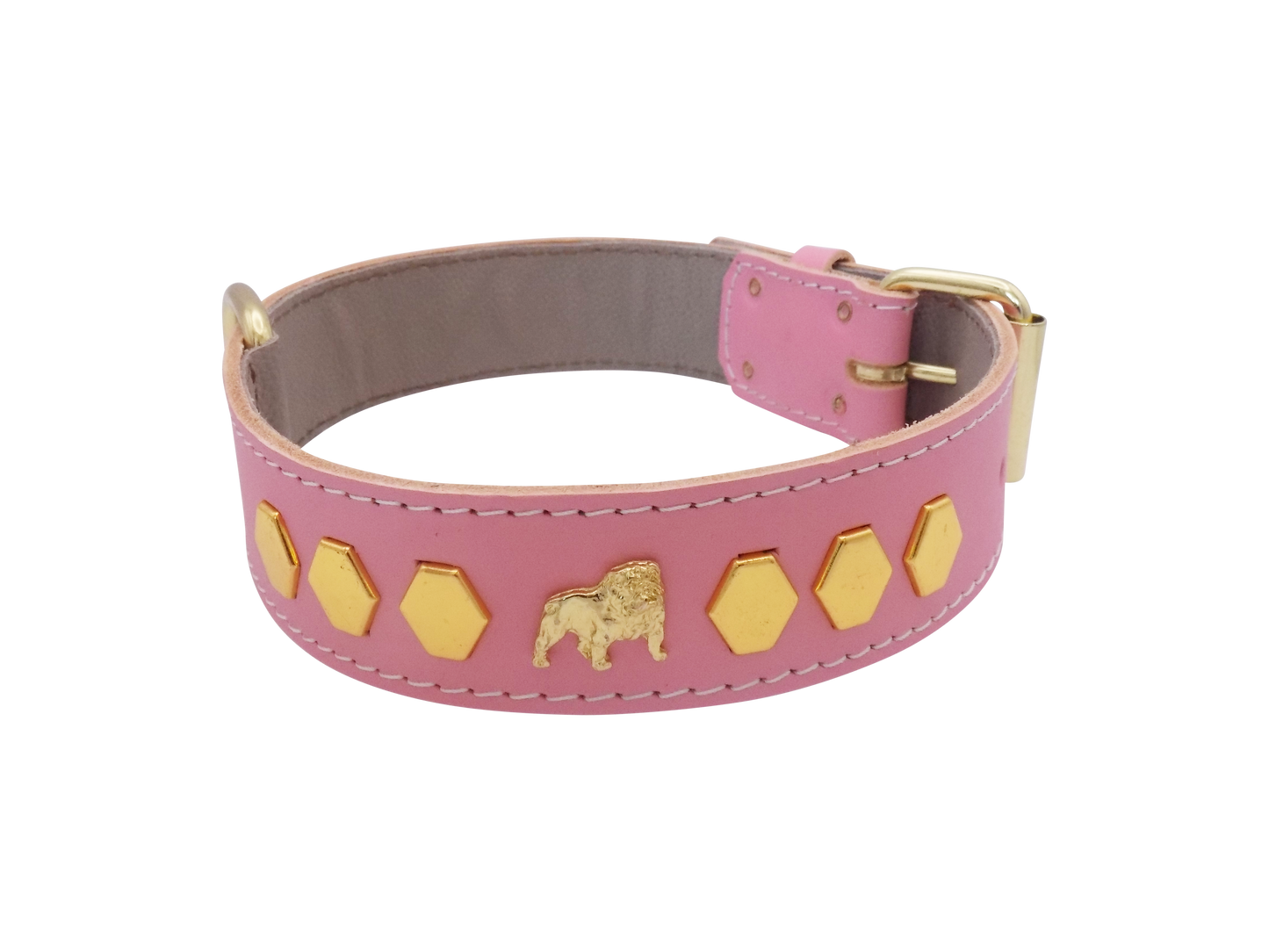 1.5" wide Leather Dog Collar with Unique Gold Design and English Bulldog Badges