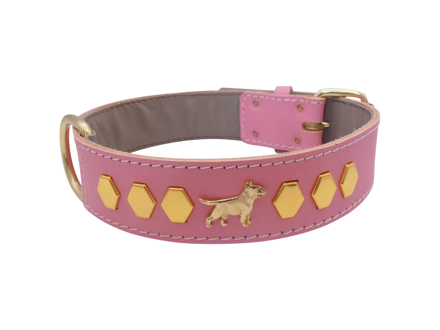 1.5" wide Leather Dog Collar with Decorative Gold Design and English Bull Terrier Badges