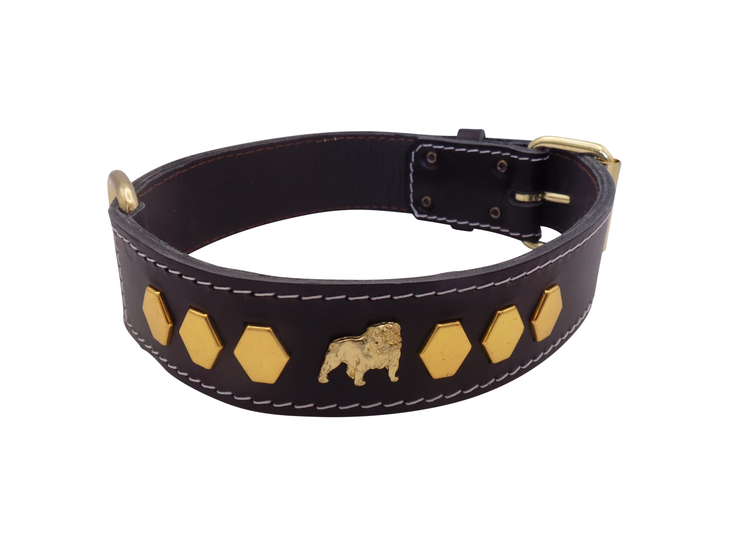 1.5" wide Leather Dog Collar with Unique Gold Design and English Bulldog Badges