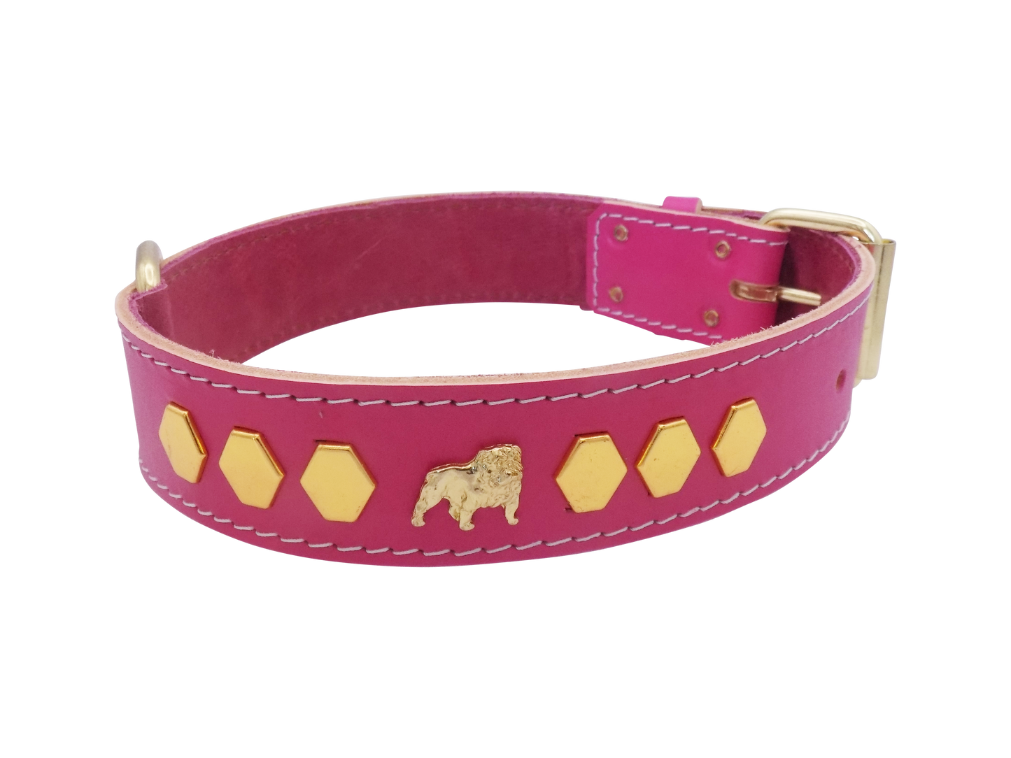 1.5" wide Leather Dog Collar with Unique Gold Design and English Bulldog Badges