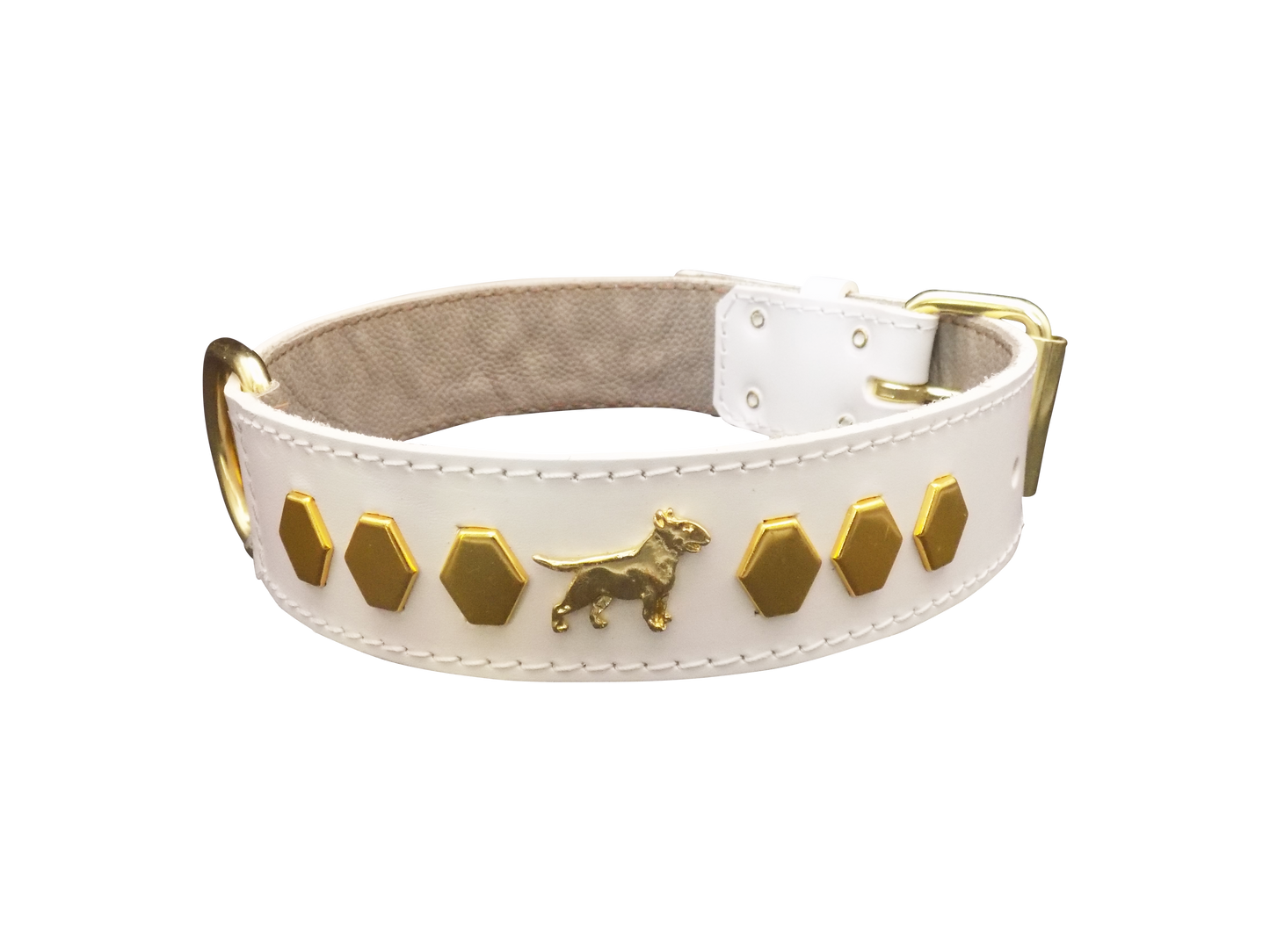 1.5" wide Leather Dog Collar with Decorative Gold Design and English Bull Terrier Badges