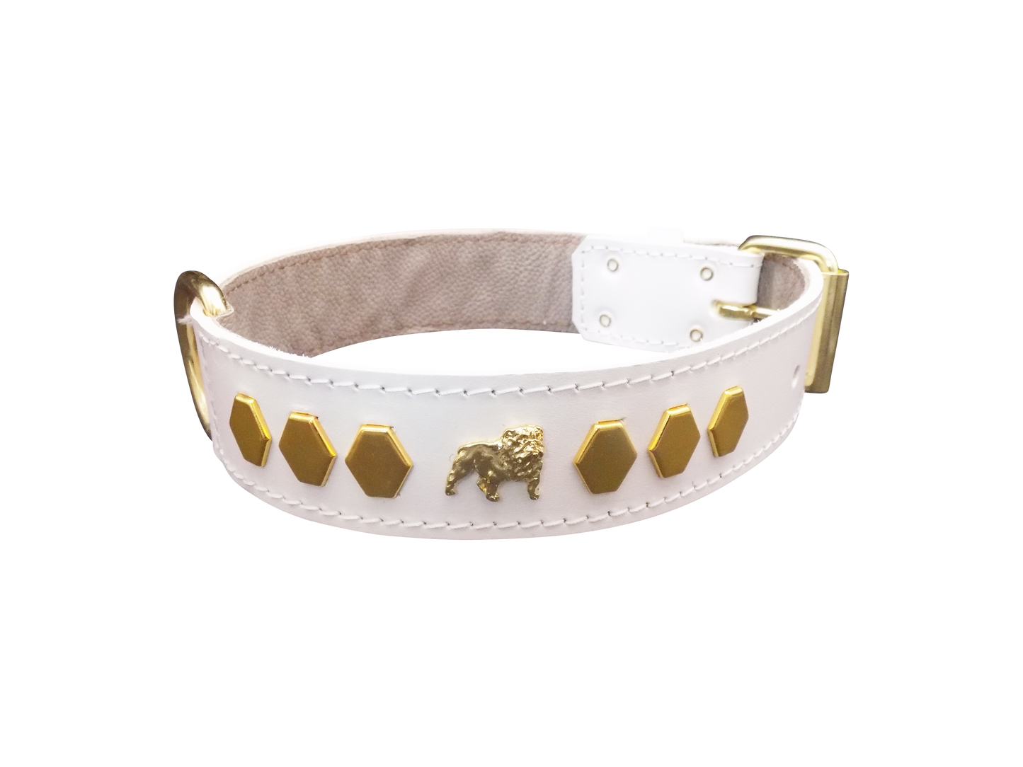 1.5" wide Leather Dog Collar with Unique Gold Design and English Bulldog Badges