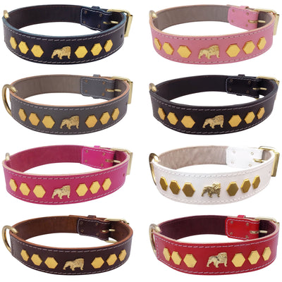 1.5" wide Leather Dog Collar with Unique Gold Design and English Bulldog Badges