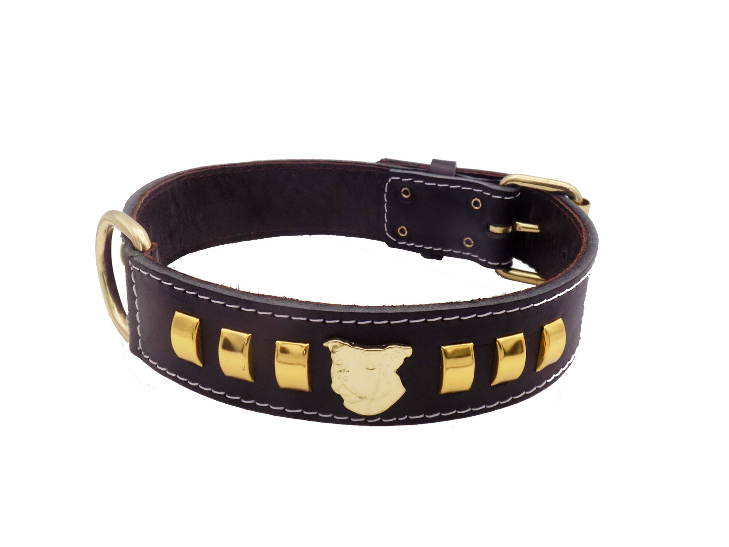 1.5" Staffy Leather Dog Collar with Gold Decorative Design and Staffordshire Bull Terrier Badge