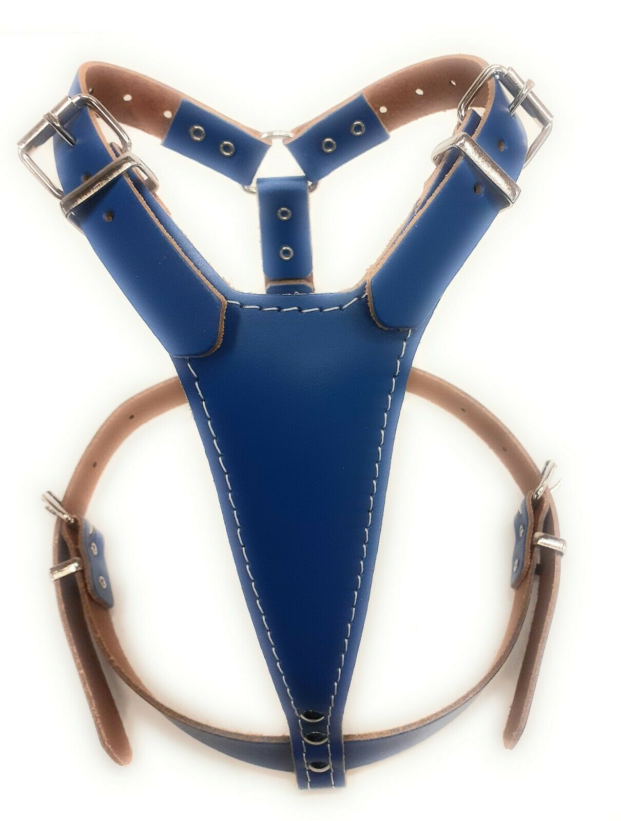 Blue Plain Leather Dog Harness for Any Medium Dog Breeds