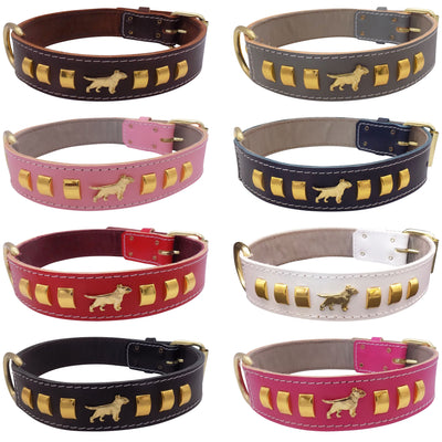 1.5" wide Leather Dog Collar with Decorative Gold Design and English Bull Terrier Badges