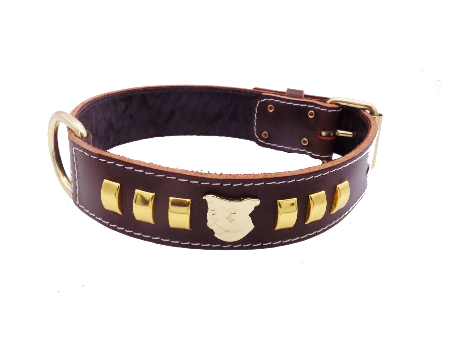 1.5" Staffy Leather Dog Collar with Gold Decorative Design and Staffordshire Bull Terrier Badge