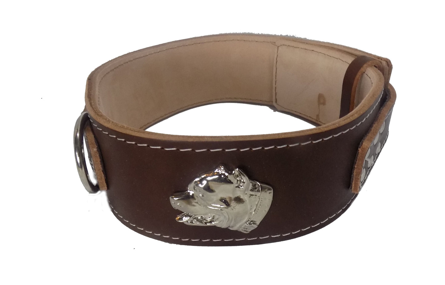 2.5 inch Heavy Duty Dog Collar with American Bully Head Motif