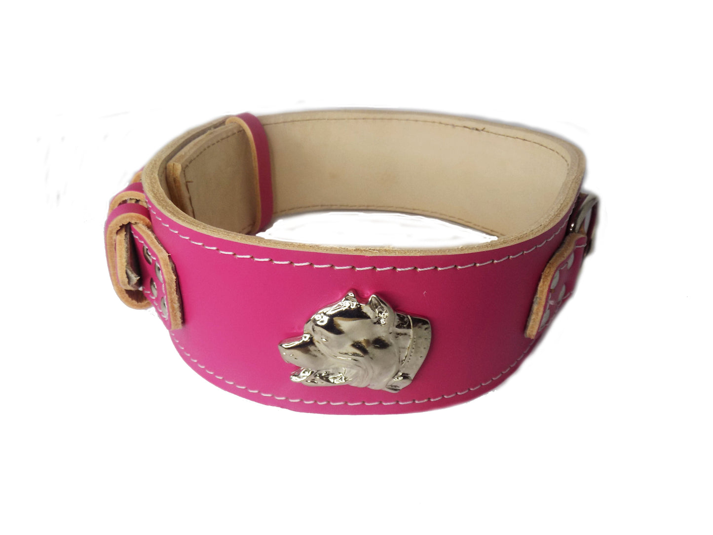 2.5 inch Heavy Duty Dog Collar with American Bully Head Motif