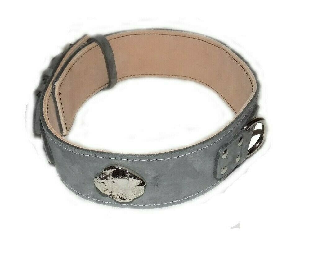 leather dog collar