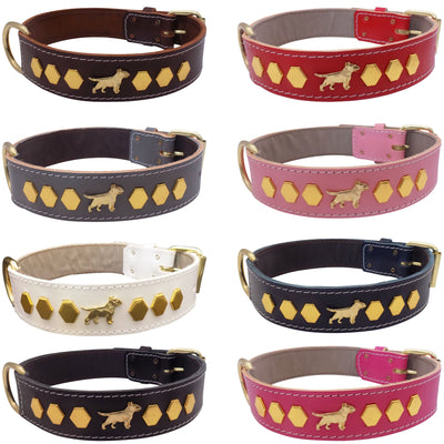 1.5" wide Leather Dog Collar with Decorative Gold Design and English Bull Terrier Badges