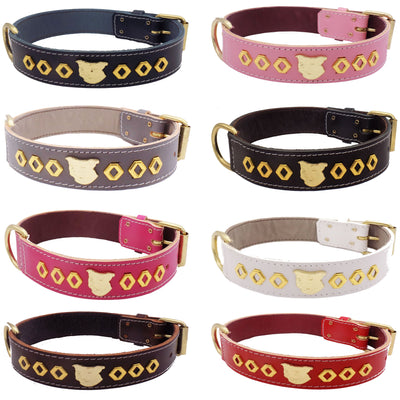 1.5" Staffy Leather Dog Collar with Gold Decorative Design and Staffordshire Bull Terrier Badge