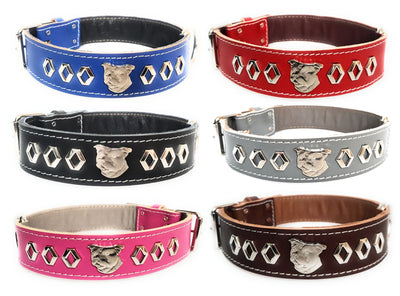 1.5" Staffy Leather Dog Collar with Decorative Design and Staffordshire Bull Terrier Badge