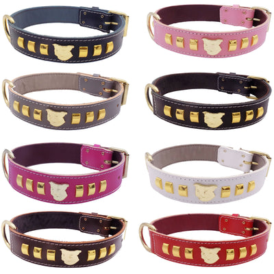 1.5" Staffy Leather Dog Collar with Gold Decorative Design and Staffordshire Bull Terrier Badge