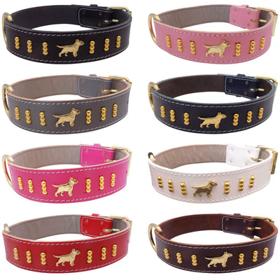 1.5" wide Leather Dog Collar with Decorative Gold Design and English Bull Terrier Badges